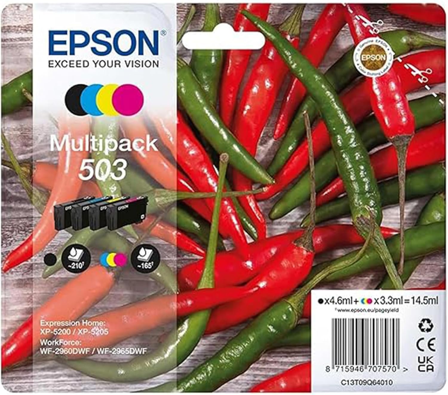 C13T09Q64010 - EPSON 503 CANON PG540 - CANON CL541